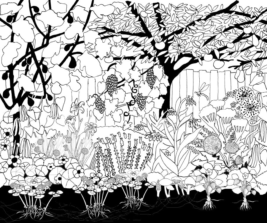 a low maintenance forager's border of food